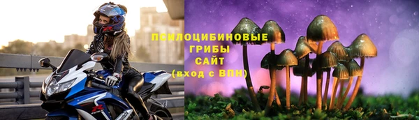 ECSTASY Аркадак