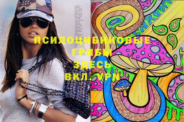 герыч Алексин