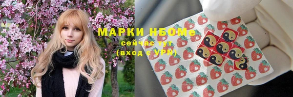 дживик Пестово
