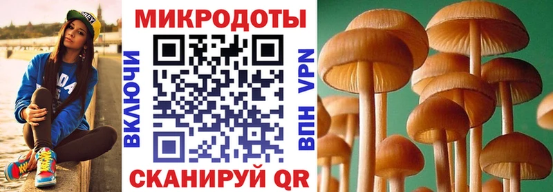 Галлюциногенные грибы GOLDEN TEACHER  хочу наркоту  гидра ONION  Цимлянск 